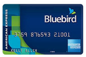 bluebird